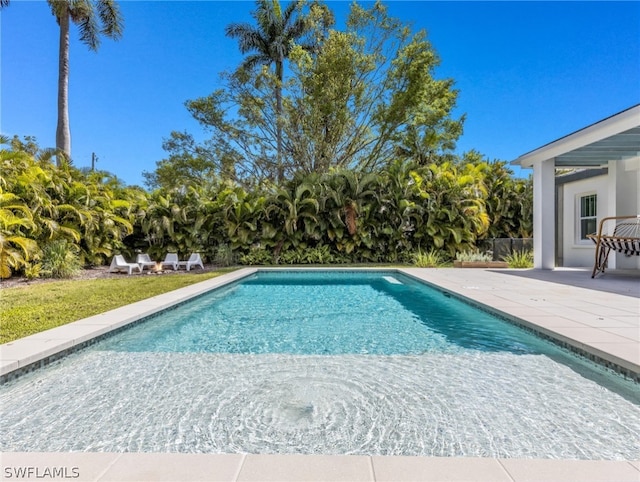 view of swimming pool with a patio