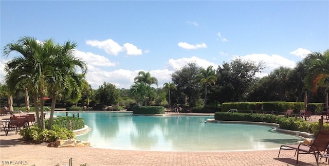 view of swimming pool with a patio