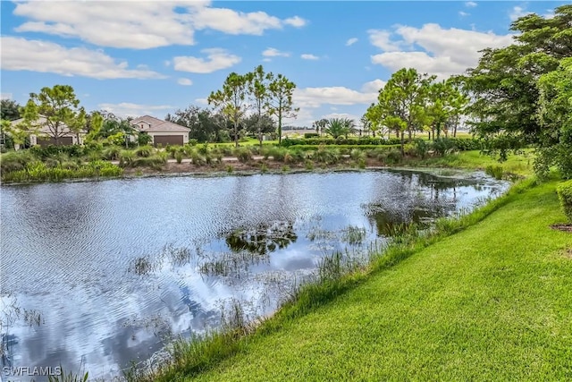 view of water feature