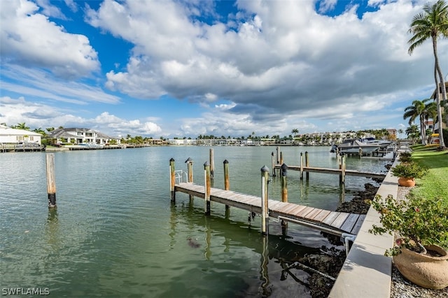 dock area with a water view