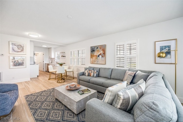 living room featuring hardwood / wood-style floors