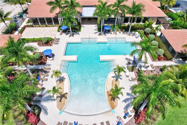 view of pool with a patio area