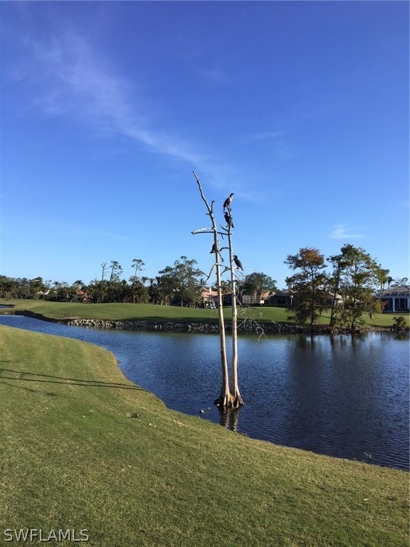 view of water feature