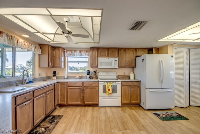 kitchen with light hardwood / wood-style floors, ceiling fan, white appliances, and sink