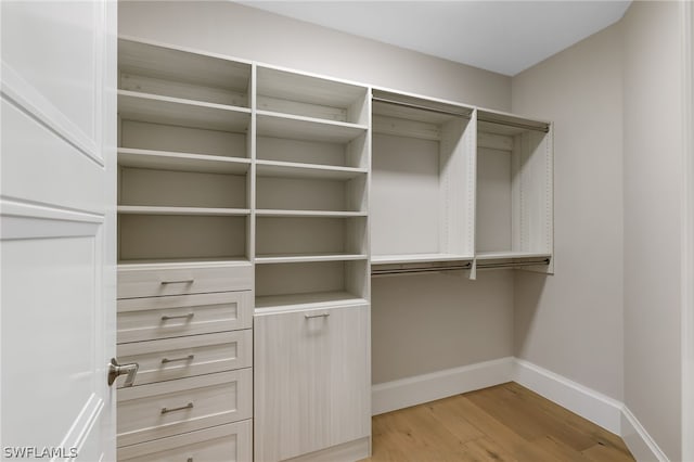 walk in closet featuring light hardwood / wood-style flooring