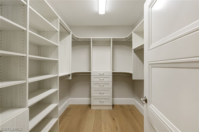 spacious closet featuring light wood-type flooring