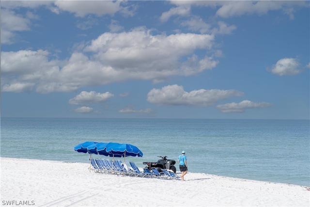 water view featuring a beach view