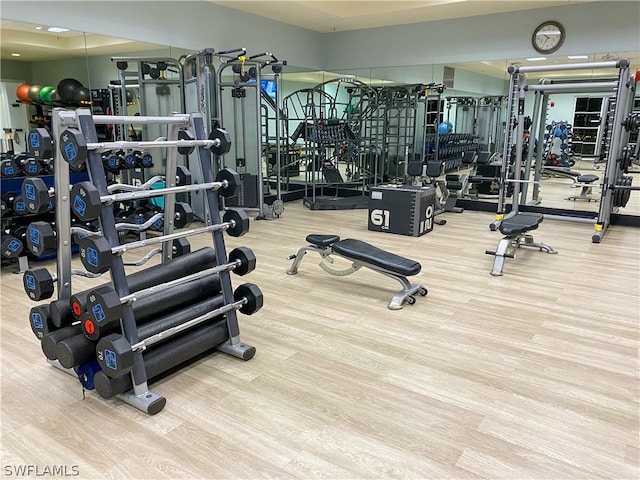 gym featuring wood-type flooring