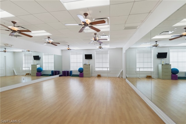 workout area with a drop ceiling, light hardwood / wood-style floors, and ceiling fan