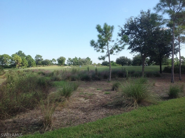 view of local wilderness featuring a rural view