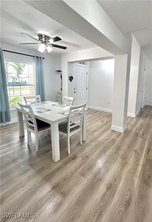 dining space with ceiling fan and hardwood / wood-style floors