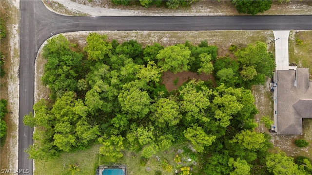 Address Not Disclosed, Alva FL, 33920 land for sale