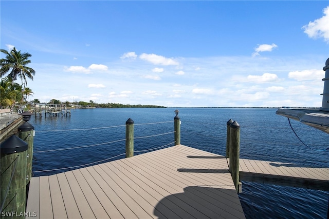 dock area with a water view