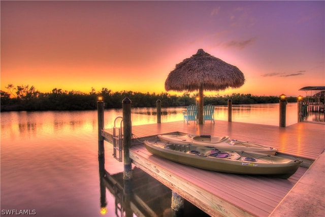 dock area with a water view