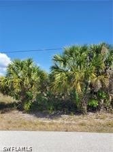 Listing photo 2 for Lagrange Ave, North Port FL 34286