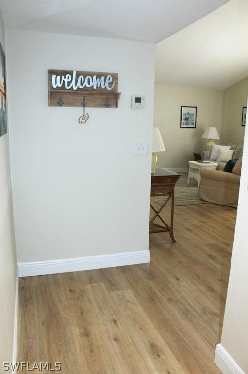 hall featuring hardwood / wood-style floors