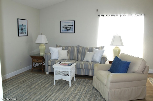 living room with hardwood / wood-style flooring