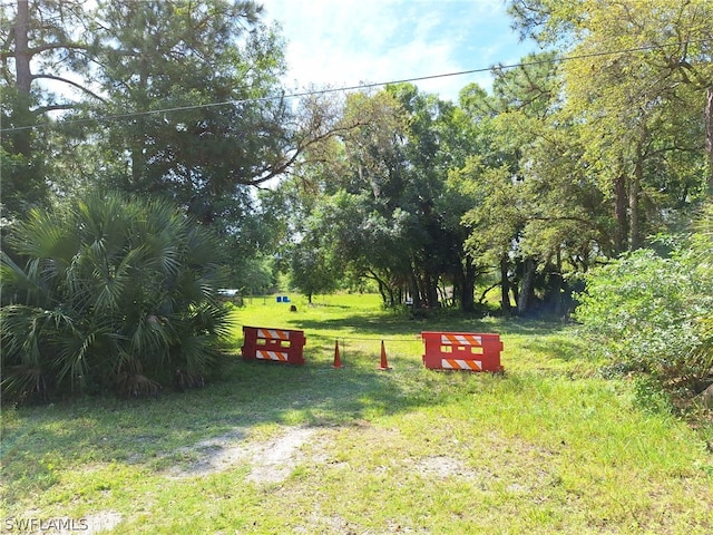 13822 Hamlin Ave, Clewiston FL, 33440 land for sale