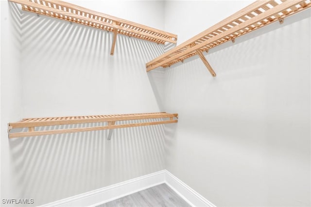 walk in closet featuring wood finished floors