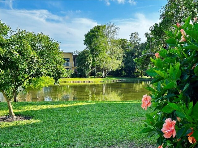 water view