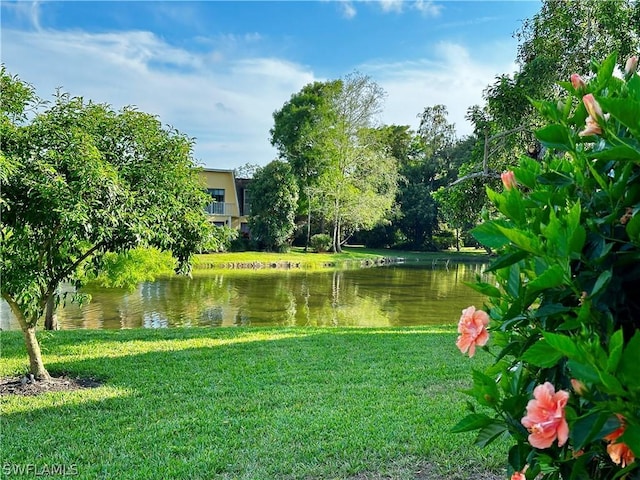 view of water feature