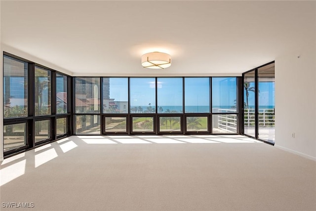 unfurnished room with baseboards, a wall of windows, and carpet flooring