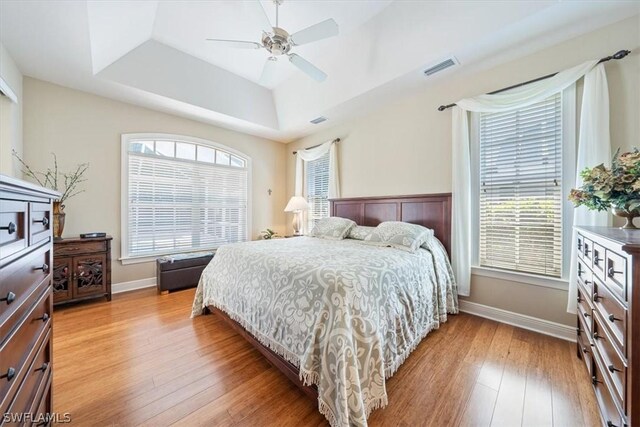 bedroom featuring multiple windows, hardwood / wood-style floors, and a raised ceiling