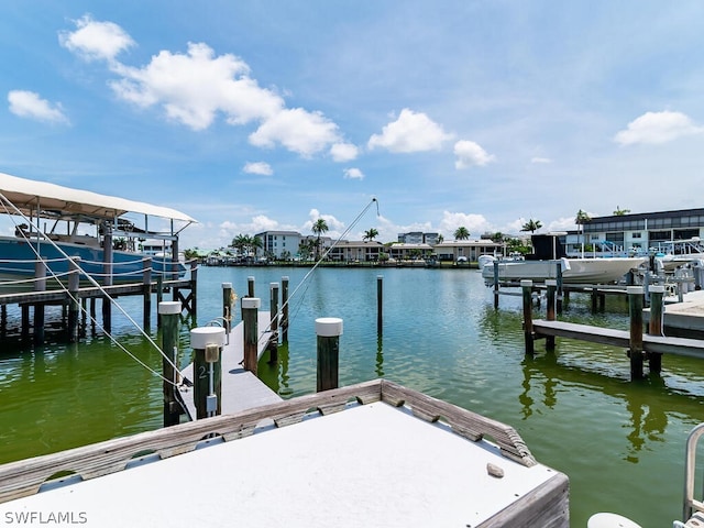 dock area with a water view