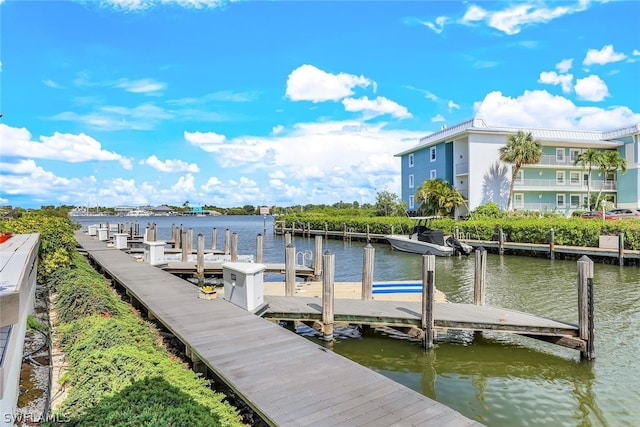 dock area with a water view