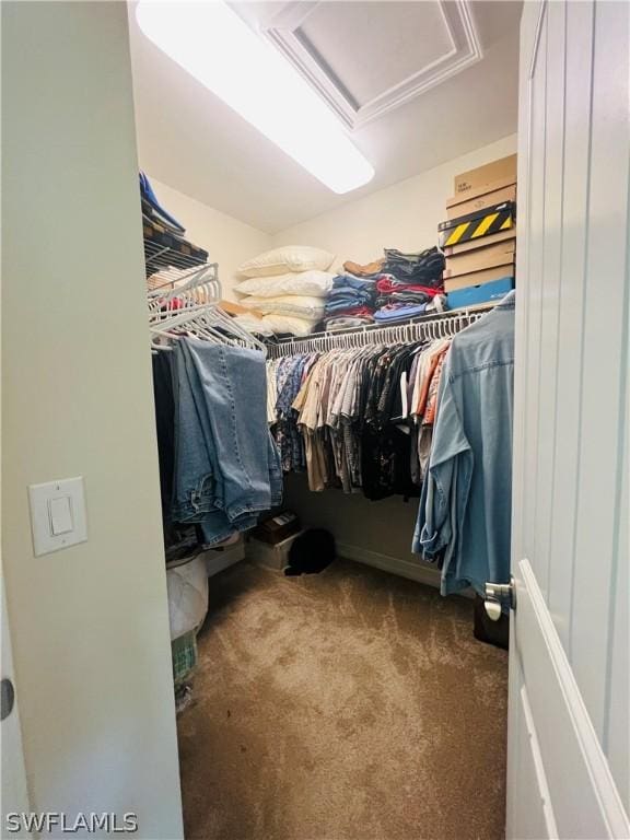 walk in closet with carpet and attic access