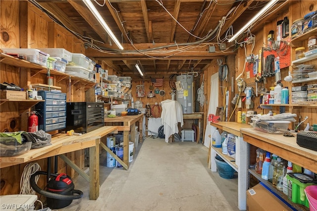 storage featuring electric water heater