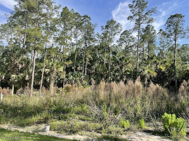 view of local wilderness