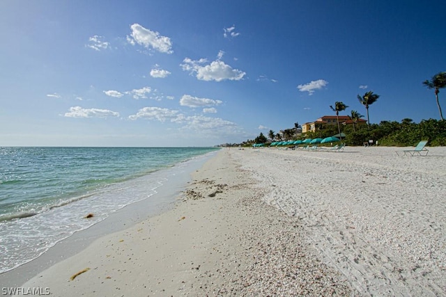 water view with a view of the beach