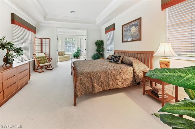 carpeted bedroom with crown molding and a raised ceiling