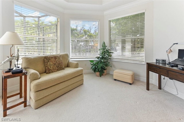 carpeted living room featuring ornamental molding and a tray ceiling