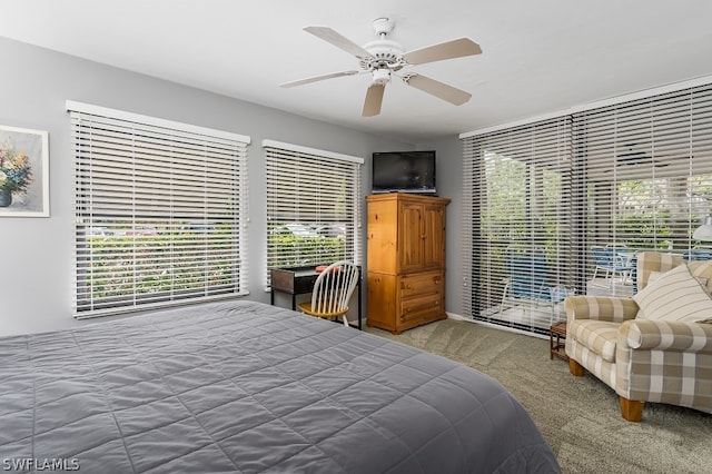 carpeted bedroom with multiple windows and ceiling fan