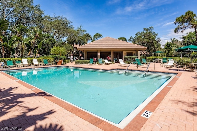 view of swimming pool with a patio area