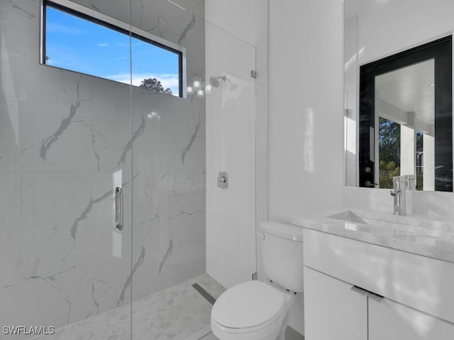 bathroom featuring vanity, toilet, and a shower with shower door