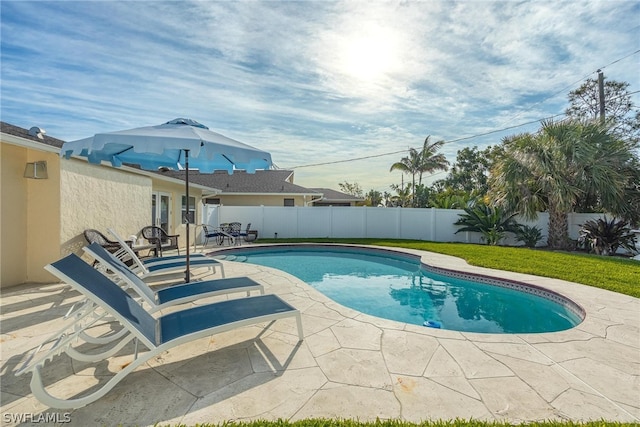 view of swimming pool with a patio area