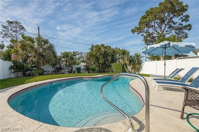 view of pool featuring a patio