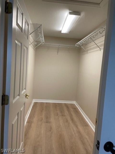 spacious closet featuring wood-type flooring