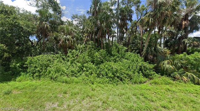 3718 Tareco St, Fort Myers FL, 33905 land for sale