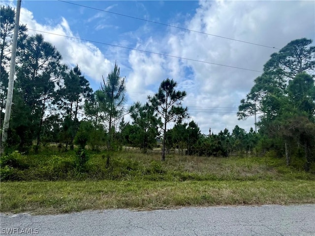 1166 Briarcliffe St, Fort Myers FL, 33913 land for sale