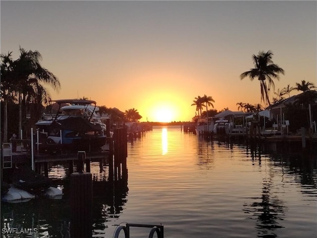 property view of water with a boat dock