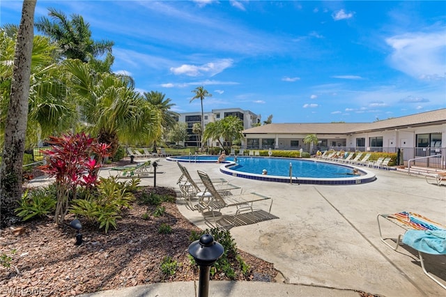 view of swimming pool with a patio area