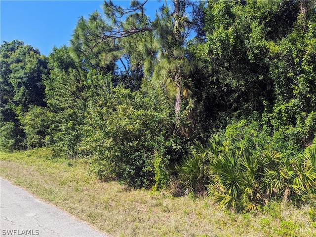 113 Jackson Ave, Lehigh Acres FL, 33936 land for sale