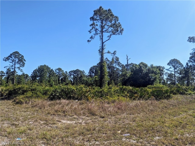 1063 Manning St E, Lehigh Acres FL, 33974 land for sale