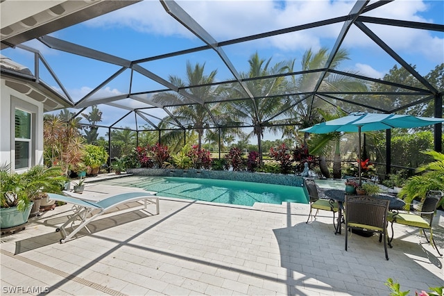 view of swimming pool with a patio area and a lanai