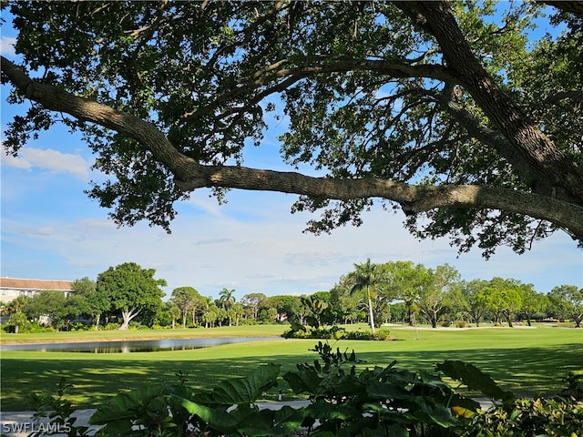 view of nearby features with a water view and a lawn