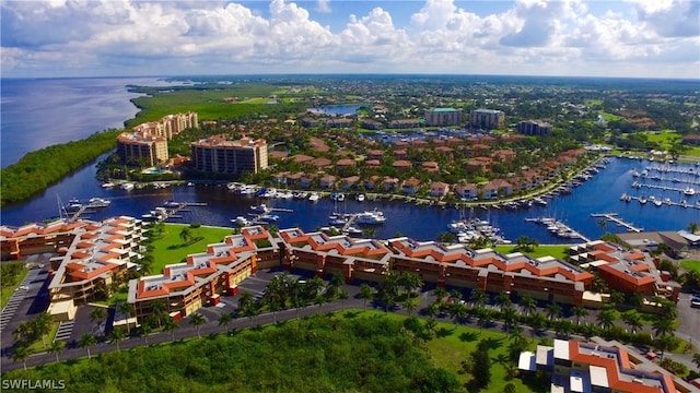 bird's eye view with a water view